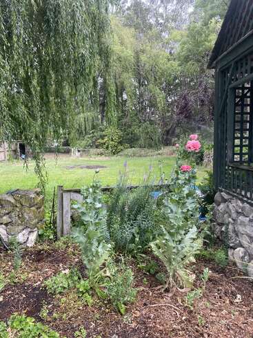 A lush garden with leafy plants and blooming pink flowers, bordered by a stone wall, pergola, and surrounded by green trees and a grassy lawn. Peaceful scene.