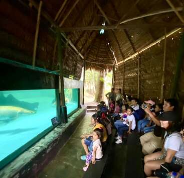 Un groupe d'enfants et d'adultes sont assis sur des bancs à l'intérieur d'un bâtiment rustique au toit de chaume, observant attentivement de gros poissons qui nagent dans un aquarium en verre.