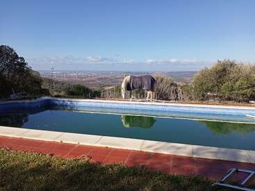 Um cavalo com um cobertor está ao lado de uma piscina, cercado por arbustos. Turbinas eólicas são visíveis na paisagem distante sob um céu azul brilhante.