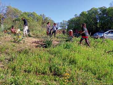 Um grupo de pessoas está trabalhando ao ar livre em uma área gramada e ensolarada, cercada por árvores, realizando atividades de jardinagem ou plantio com ferramentas e um carro por perto.
