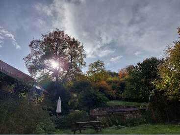 Le soleil brille à travers un grand arbre aux feuilles d'automne. Une table de pique-nique et un parapluie fermé se trouvent dans un jardin verdoyant. Des nuages parsèment le ciel.