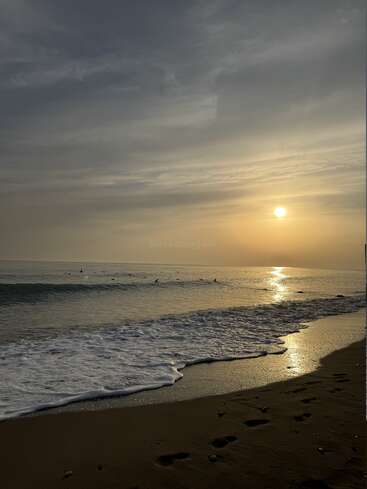 Golden sunlight reflects off gentle ocean waves at sunset. Footprints mark the wet sandy shore, while surfers wait calmly in the peaceful, tranquil water. Serene atmosphere.