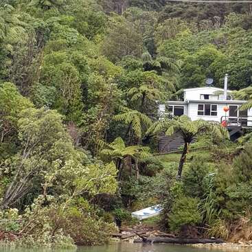 Una casa blanca enclavada entre un denso bosque verde, rodeada de altos helechos. Abajo, cerca de la orilla del agua, se ve parcialmente una pequeña embarcación que crea tranquilidad.