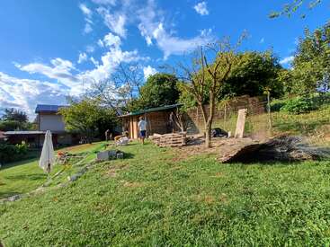 A sunny backyard scene with lush green grass, scattered trees, a person walking, wooden pallets, a shed, garden tools, blue sky, and fluffy clouds above.