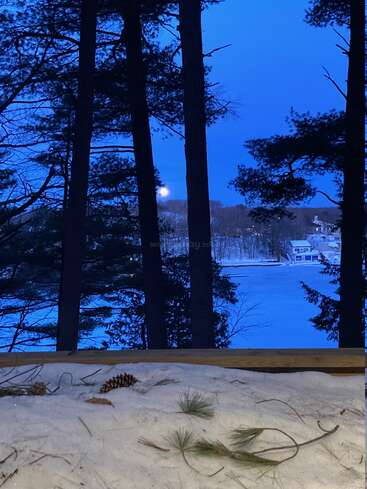 Tall pine trees frame a serene, snowy scene at dusk. A bright moon rises over a frozen lake. Pinecones and needles rest atop fresh snow.