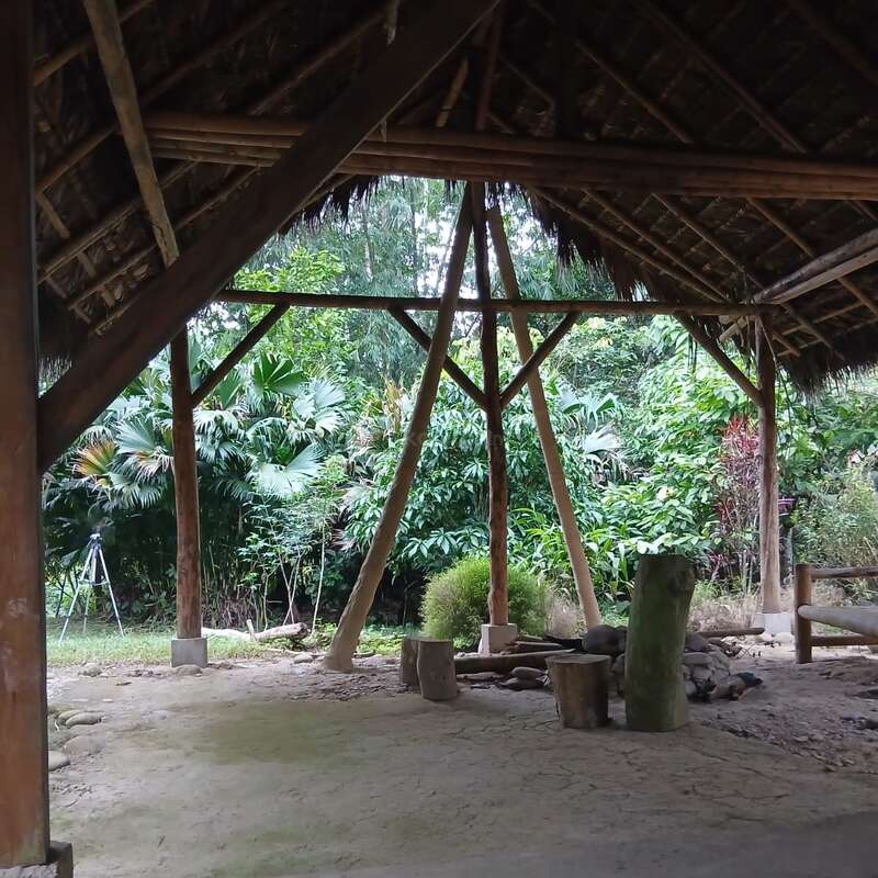 Esta imagem mostra o interior de um abrigo rústico de madeira com telhado de palha, cercado por uma densa vegetação tropical verdejante, troncos, pedras e um tripé ao ar livre.