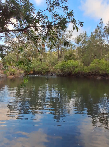 Una tranquila escena fluvial con aguas cristalinas que reflejan el cielo y la vegetación circundante. Las ramas de los árboles que se inclinan sobre el agua crean un ambiente apacible y natural bajo la suave luz del sol.