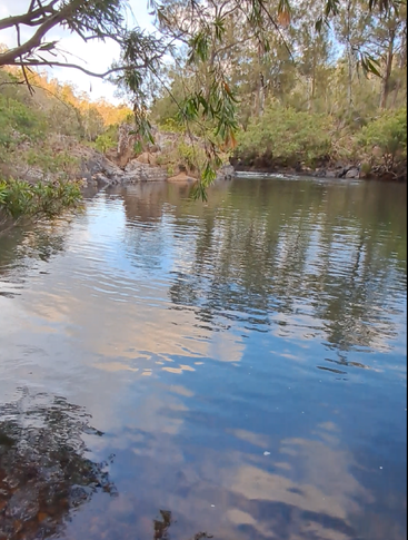 Una tranquila escena fluvial con aguas cristalinas en las que se reflejan los árboles y las nubes. Una exuberante vegetación verde rodea las orillas, mientras que las ramas que se inclinan sobre el agua enmarcan maravillosamente el tranquilo paisaje.