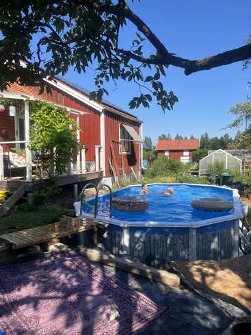 Une scène ensoleillée dans un jardin montre une piscine ronde hors sol avec deux enfants qui nagent, une maison rouge, de la verdure, une terrasse en bois et un tapis d'extérieur violet.