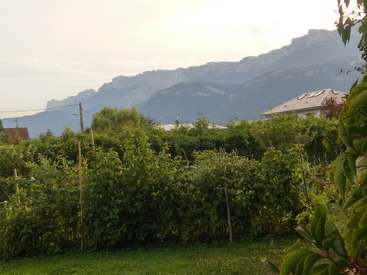 A imagem mostra um jardim exuberante com um pano de fundo montanhoso, com uma variedade de plantas e árvores verdes, com alguns edifícios visíveis à distância.