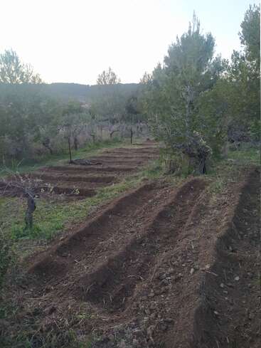 Das Bild zeigt frisch gepflügte Gartenbeete in einer ländlichen Gegend, umgeben von grünen Bäumen und Vegetation, unter einem klaren Himmel bei Tageslicht. Eine friedliche Szene.