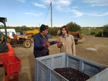 Zwei Männer unterhalten sich auf einem Bauernhof neben einer großen Kiste, die mit geernteten Oliven gefüllt ist. Im Hintergrund sind Traktoren, landwirtschaftliche Geräte, Felder und ein klarer Himmel zu sehen.