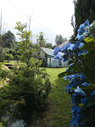 A peaceful garden with lush greenery, blue flowers in the foreground, a small stream, and a rustic, weathered shed in the background on a sunny day.