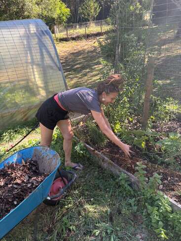 Eine Frau mit Dreadlocks, die Shorts und ein T-Shirt trägt, arbeitet an einem Hochbeet im Garten und verteilt an einem sonnigen Tag Mulch aus einer blauen Schubkarre.