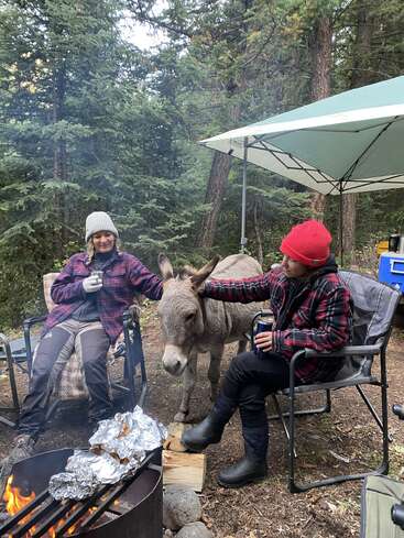 Zwei Menschen in karierten Jacken und Mützen sitzen an einem Lagerfeuer im Wald und streicheln einen Esel. Das Essen kocht in Folie auf dem Feuer. Gemütliche, rustikale Szene.