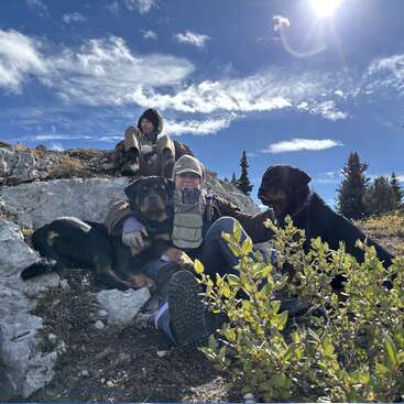 Deux personnes et deux grands chiens se détendent sur une colline rocheuse sous un soleil radieux, entourés de verdure, profitant d'une belle journée claire dans la nature.
