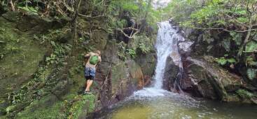 Una persona trepa por una pared de roca musgosa junto a una pintoresca cascada en un frondoso y verde bosque. El sereno estanque y el agua en cascada realzan la tranquila escena.