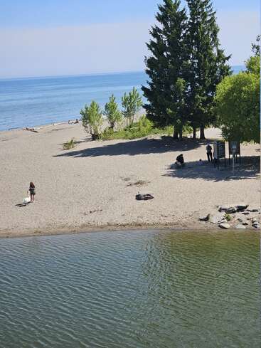 A sandy beach with a woman walking a dog, a few people relaxing, tall trees, calm blue water, and a tranquil, sunny atmosphere.