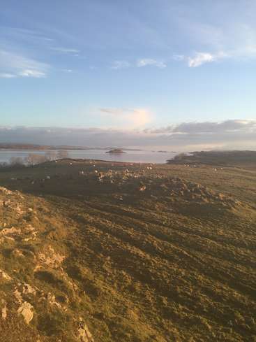 A imagem retrata uma paisagem serena com um campo gramado, um corpo de água e um céu azul com nuvens, evocando uma sensação de tranquilidade e beleza natural.