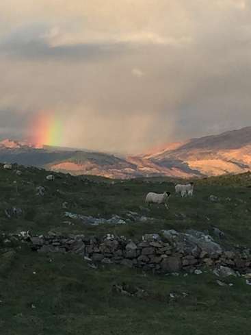A imagem retrata uma paisagem serena com um arco-íris, ovelhas pastando em um campo e colinas ondulantes sob um céu nublado, com um muro de pedra em primeiro plano.
