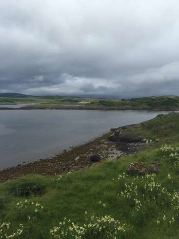 A imagem retrata uma paisagem serena com um corpo de água, uma colina gramada com flores brancas e um céu nublado, evocando uma sensação de beleza natural e tranquilidade.
