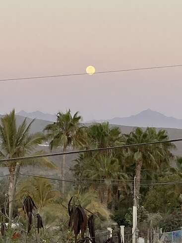Une pleine lune se lève sur des montagnes lointaines au crépuscule, des palmiers occupent le premier plan, des fils téléphoniques traversent la scène, créant une atmosphère paisible et tropicale.