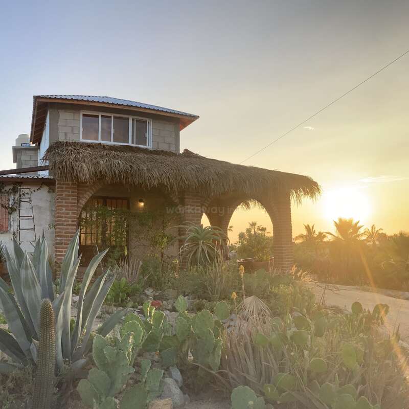 Une charmante maison rustique au toit de chaume se trouve au milieu d'un jardin luxuriant de cactus et de plantes grasses, baignant dans la chaleur du coucher de soleil doré.