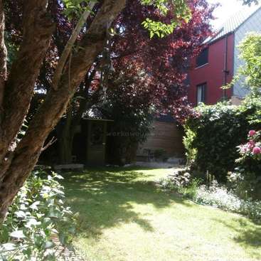 A imagem mostra uma cena serena no quintal, com um gramado exuberante, árvores vibrantes e uma charmosa casa vermelha ao fundo.
