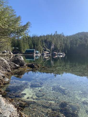 L'eau claire et calme reflète les arbres et les maisons flottantes. Rivage rocheux avec des algues au premier plan. Ciel bleu lumineux, environnement forestier tranquille, scène de nature sauvage paisible et isolée.