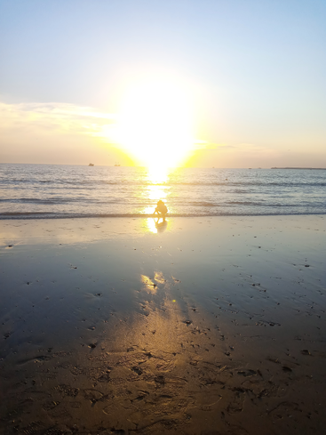 Eine einzelne Person hockt bei Sonnenuntergang an einem ruhigen Strand. Die goldene Sonne spiegelt sich auf dem nassen Sand und schafft eine ruhige, friedliche Atmosphäre unter einem klaren Himmel.