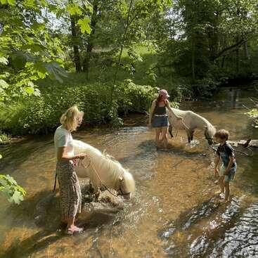 Trois personnes, dont un enfant, et deux poneys se tiennent dans un ruisseau peu profond et ensoleillé au cœur de la forêt. La scène est paisible, entourée d'arbres à la verdure luxuriante.