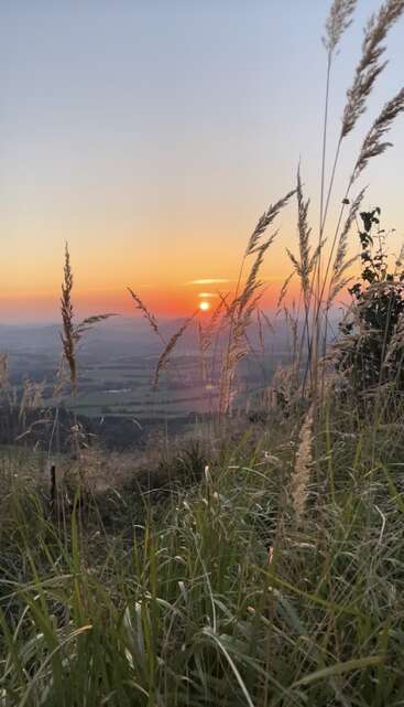 As ervas douradas balançam suavemente em primeiro plano, emoldurando um pôr do sol de tirar o fôlego sobre um vasto vale. O céu brilha com tons de laranja e azul, transmitindo paz e serenidade.