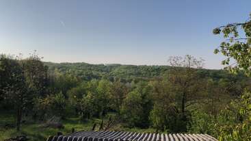 A serene landscape features a lush green forest under a clear blue sky, with a corrugated metal roof and tree branches visible in the foreground.