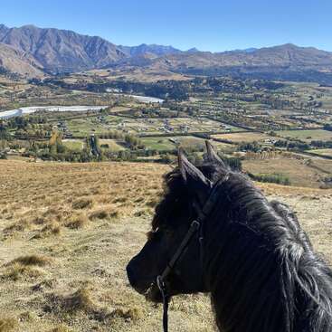 The image depicts a majestic black horse gazing out at a picturesque rural landscape, with rolling hills and mountains visible in the background on a sunny day.