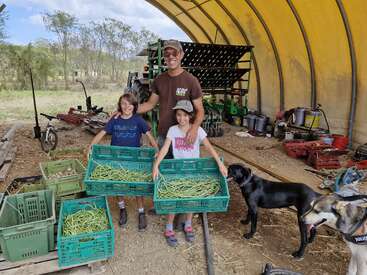 A smiling adult and two children hold large baskets of green beans inside a farm shed, surrounded by crates, equipment, and two friendly dogs.