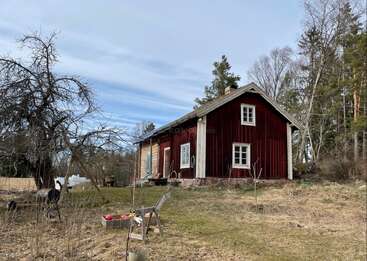Une petite maison en bois rouge se dresse dans un jardin herbeux et un peu envahi par la végétation, entourée d'arbres dépouillés et d'une forêt. Des jouets d'enfants et un banc se trouvent au premier plan.