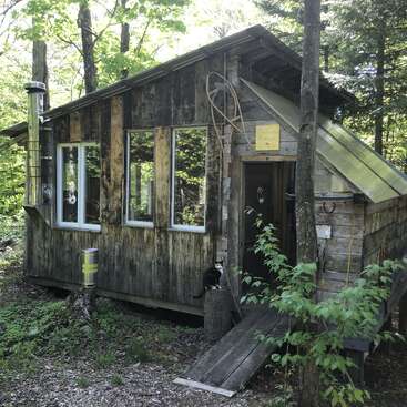 A rustic wooden cabin sits in a lush green forest, featuring large windows, a metal chimney, and a black-and-white cat on a tree stump.