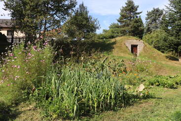 This image shows a lush garden with various plants and flowers in front of a grass-covered cellar mound. Trees and a house are in the background.