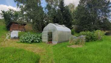 A small greenhouse stands amid lush greenery, vegetable plants, and wild grass. Nearby, a water tank, garden shed, and trees create a peaceful rural garden scene.