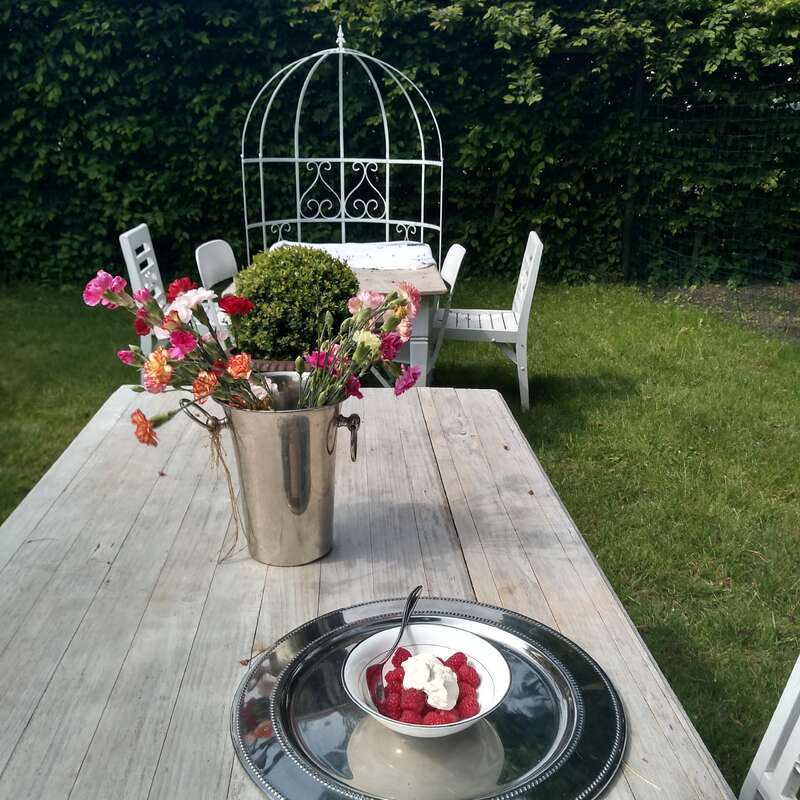 Das Bild zeigt eine ruhige Umgebung im Freien mit einem Holztisch, auf dem eine Schüssel mit Himbeeren und Schlagsahne steht, begleitet von einer Vase mit Blumen und einer weißen Metalllaube im Hintergrund.