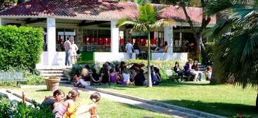 A group of young people sit on the grass outside a pavilion, enjoying a sunny day. Palm trees and greenery create a relaxed, vibrant atmosphere.