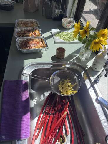 La luz del sol ilumina la encimera de la cocina, donde hay bandejas de lasaña, guisantes pelados, un cuenco, girasoles en un jarrón y ruibarbo fresco en el fregadero, junto a un colador.