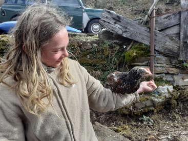 Ein junges Mädchen mit langen blonden Haaren hält ein Huhn in der Hand und steht vor einer moosbewachsenen Steinmauer und einem alten grünen Auto.