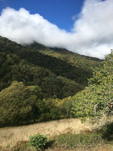 Das Bild zeigt eine ruhige Berglandschaft mit üppigem Grün, einem blauen Himmel und weißen Wolken, die ein Gefühl von natürlicher Schönheit und Ruhe hervorrufen.