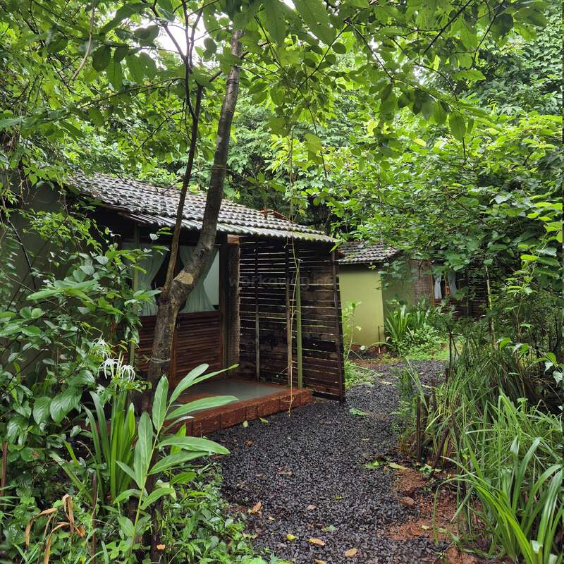 La imagen representa una serena escena de una pequeña casa rústica enclavada entre exuberante vegetación, con un camino de grava que conduce a la entrada y un tronco de árbol en primer plano.