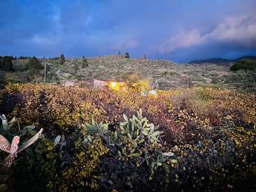 Una pequeña casa iluminada se encuentra enclavada en las colinas, rodeada de densa vegetación y cactus, bajo un espectacular cielo nublado al atardecer en un paisaje rural.