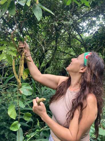 A woman with long hair and a colorful headband is picking long bean pods from a vine in a lush, green forest or garden setting.