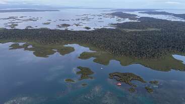 An aerial view of lush, dense tropical forest meeting calm, blue water with scattered small islands. The serene landscape is vast, peaceful, and beautifully natural.