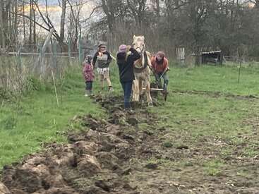 Four people and a horse are plowing a field. The horse pulls a plow, while one person guides it. Two children observe nearby in the field.