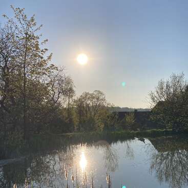 The image shows a serene pond reflecting the bright sun and surrounding trees, with a clear blue sky and tranquil, natural scenery in the peaceful background.